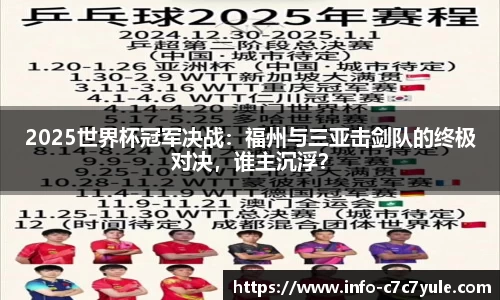 2025世界杯冠军决战：福州与三亚击剑队的终极对决，谁主沉浮？